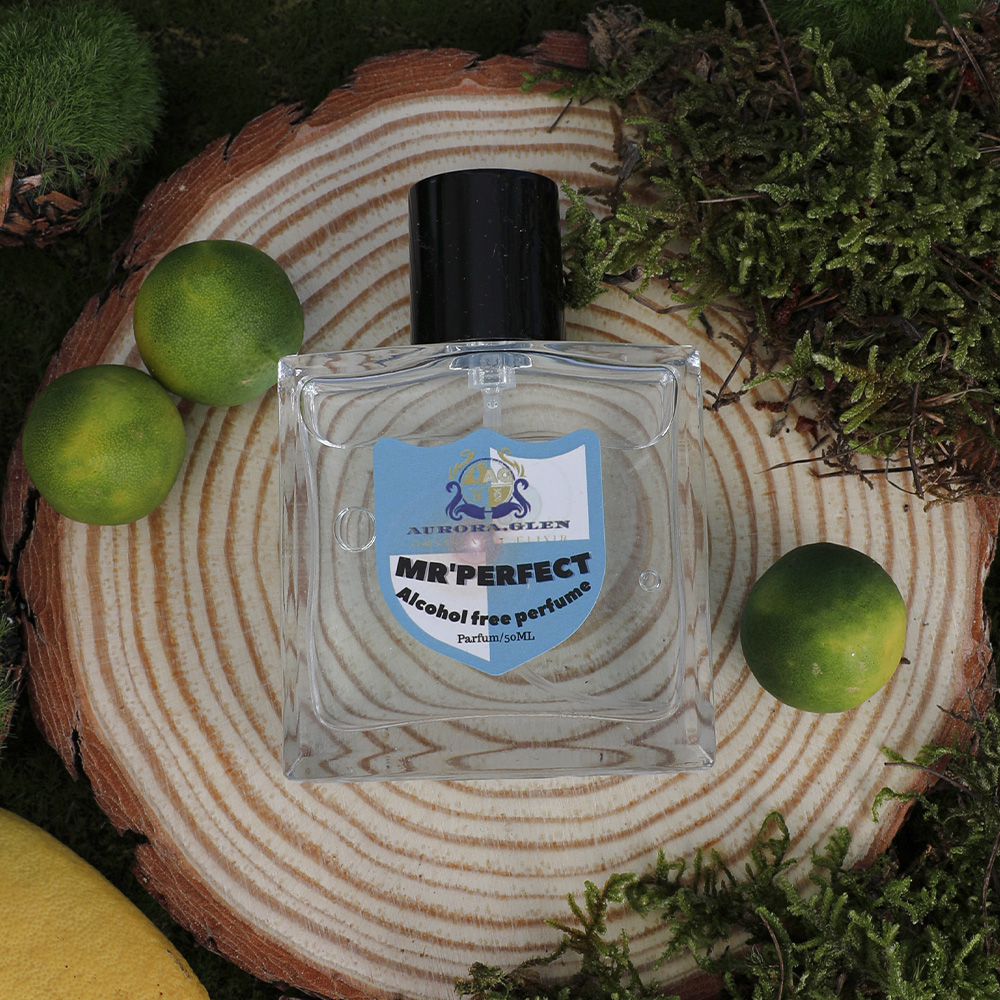 Creed Aventus Dupe - Blaues Herrenparfüm, anhaltender Duft, Charme, Herrengeschmack,