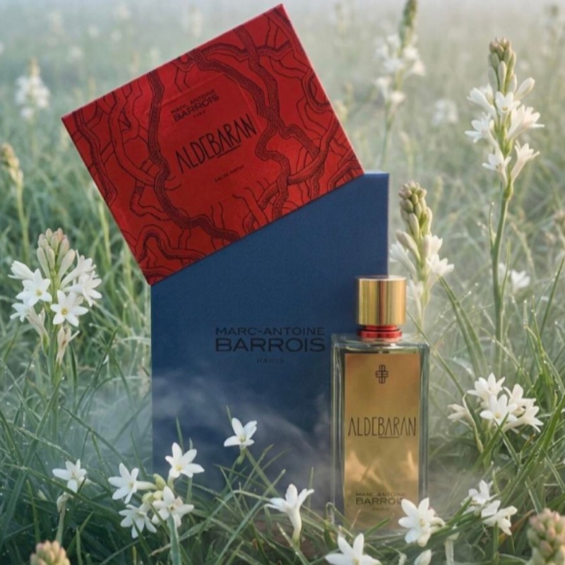 Unisex Würzig-Holziges Parfüm, – Perfume Fragrance Intense Bewertung und Preis