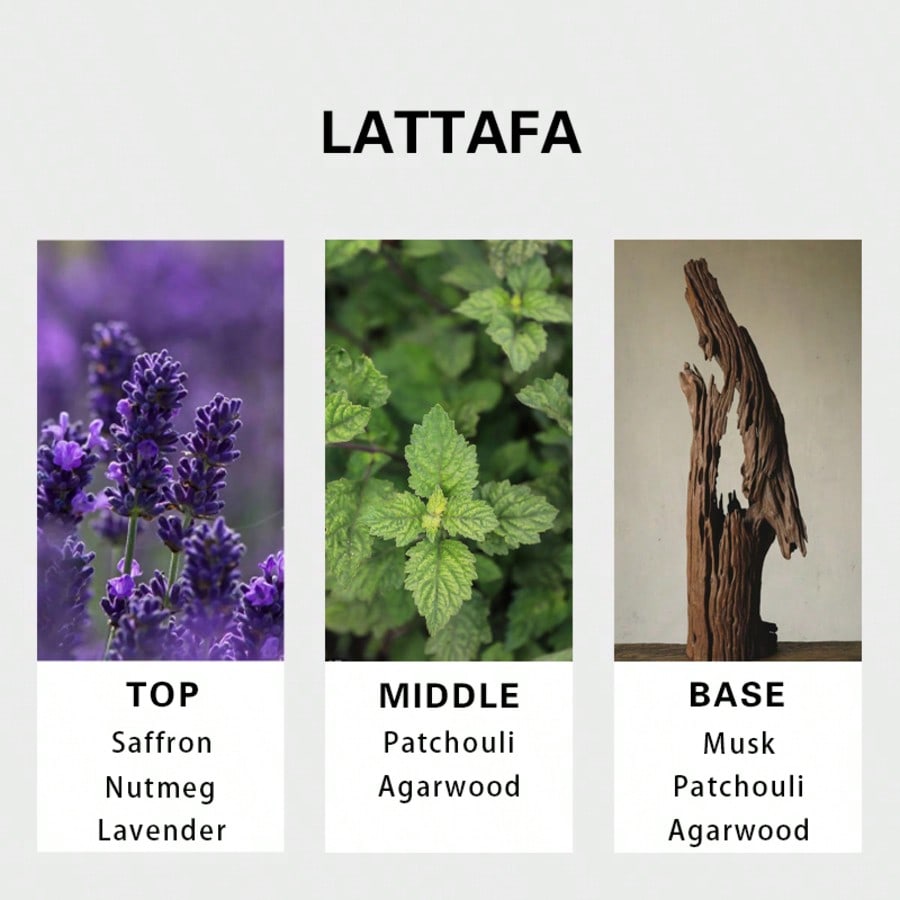 Lattafa Badee Al Oud For Glory – Perfume For Fragrance Bewertung und Preis