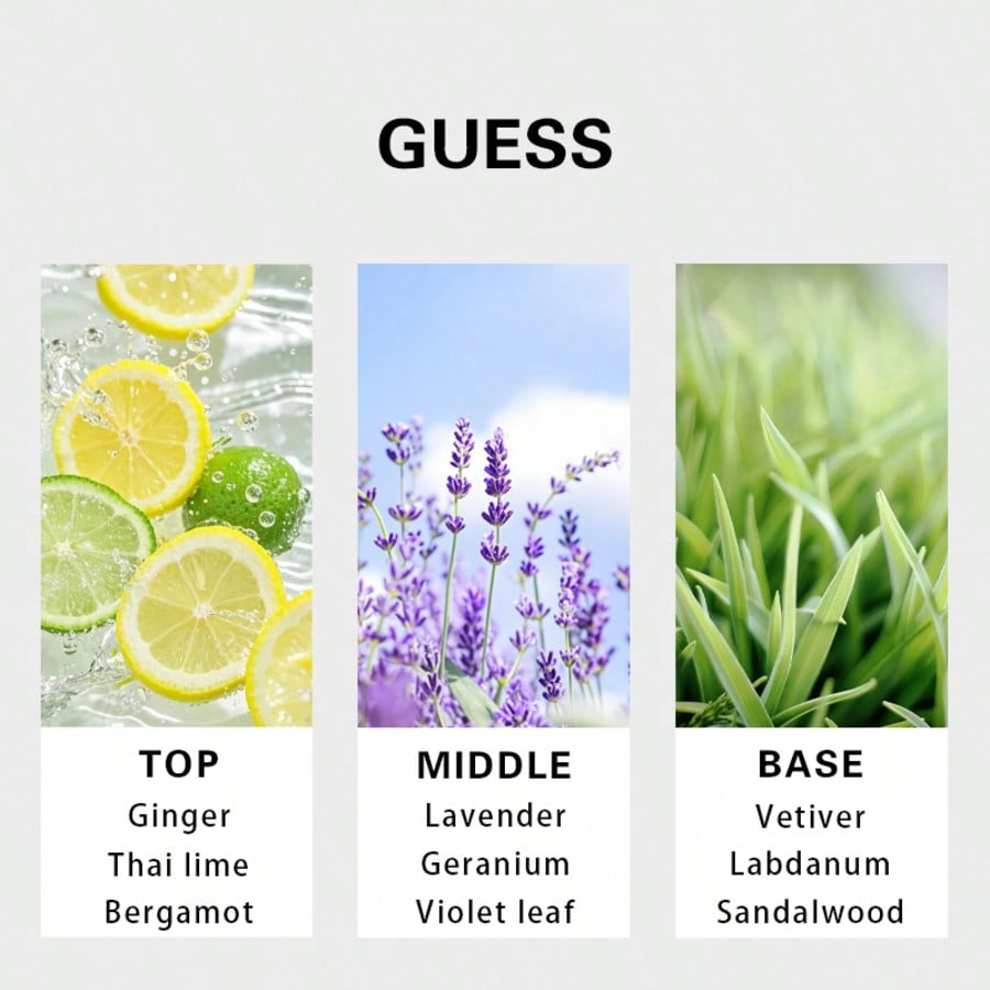 Guess Forever Herren Eau De To – Perfume For Fragrance Bewertung und Preis