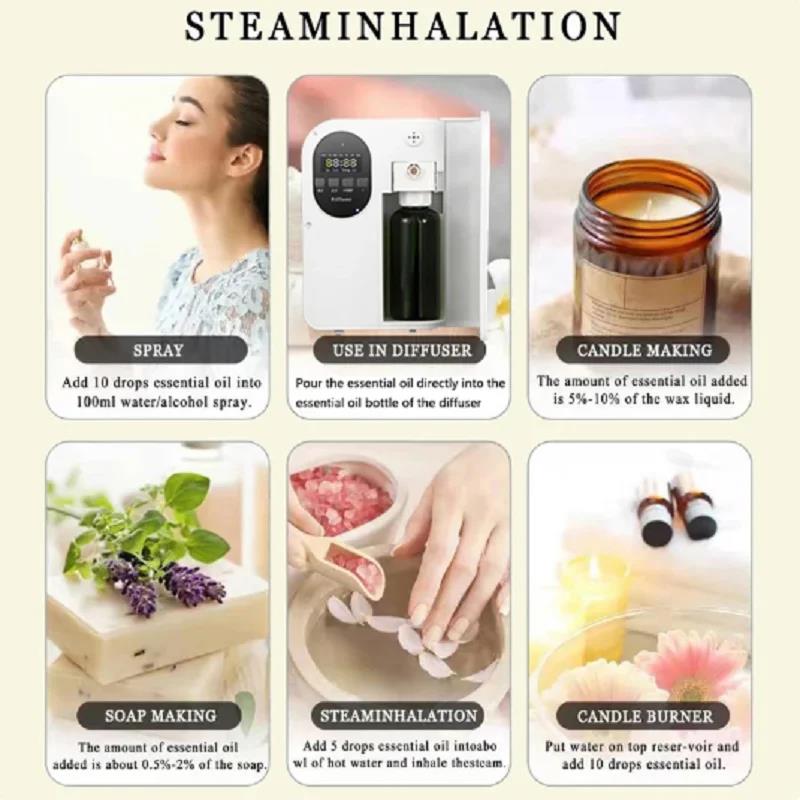 500 ml Hotel Series Healton Sh – Perfume La Fragrance Bewertung und Preis